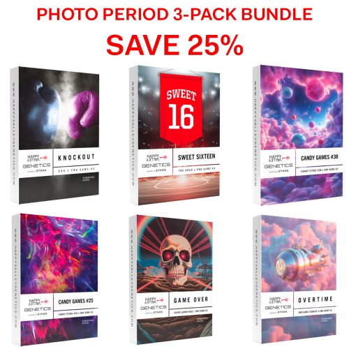 3 pack photo period bundle