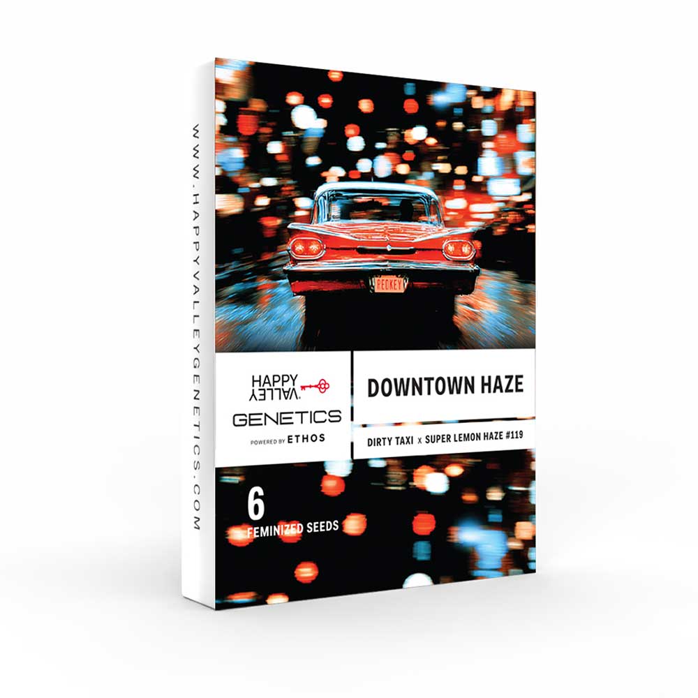 Downtown Haze